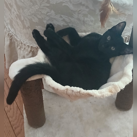 Meet your Posher, Emily - Picture 8 of 14